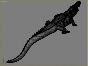 crocodile 3D Model
