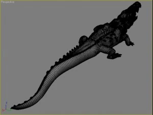 crocodile 3D Model