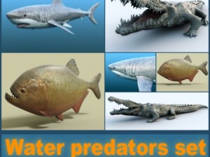 water predators set 3D 모델