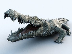 water predators set 3D Модель