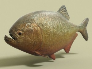 water predators set 3D Модель