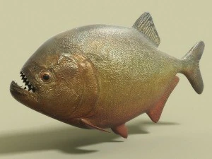 water predators set 3D Model