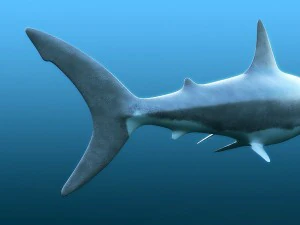 water predators set 3D Model