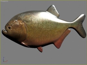 water predators set 3D Модель
