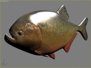 water predators set 3D Модель