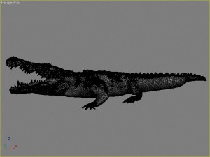 water predators set 3D Модель