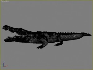 water predators set 3D Model