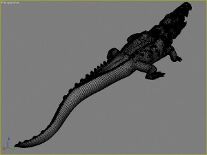 water predators set 3D Модель