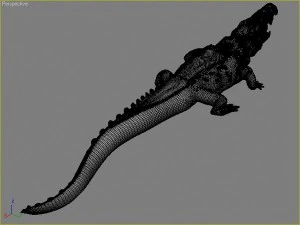 water predators set 3D Model