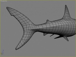 water predators set 3D Модель