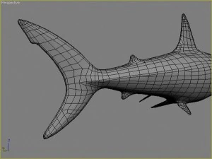 water predators set 3D Model