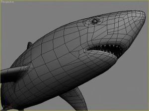 water predators set 3D Model