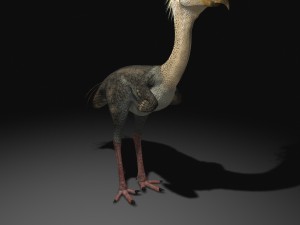 phorusrhacos rigged Model 3D