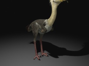 phorusrhacos rigged Modello 3D