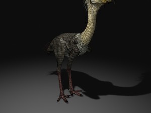 phorusrhacos rigged Modello 3D