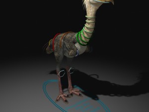 phorusrhacos rigged Modello 3D