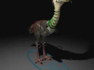 phorusrhacos rigged Modello 3D
