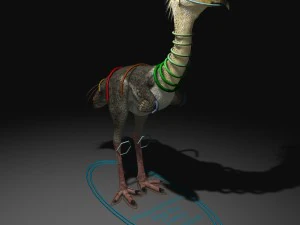 phorusrhacos rigged 3D Model
