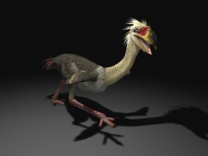 phorusrhacos rigged Modello 3D