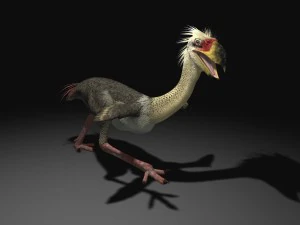 phorusrhacos rigged 3D Model