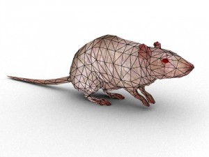 rat rigged 3D 모델