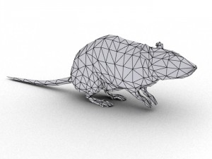 rat rigged 3D 모델