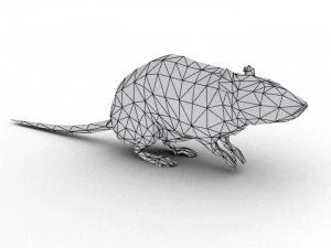 rat rigged 3D Model