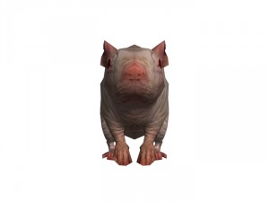 rat rigged 3D 모델