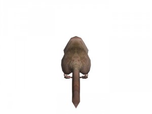 rat rigged 3D 모델