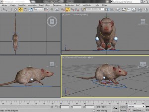 rat rigged 3D 모델