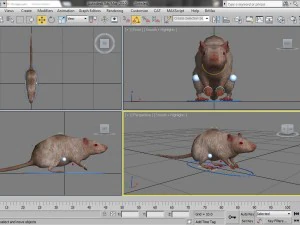 rat rigged 3D Model