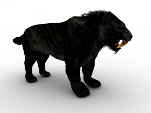 sabrecat rigged 3D Model