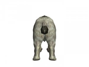 sabrecat rigged 3D Model