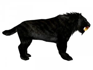 sabrecat rigged 3D Model