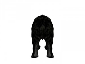 sabrecat rigged 3D Model