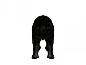 sabrecat rigged 3D Model