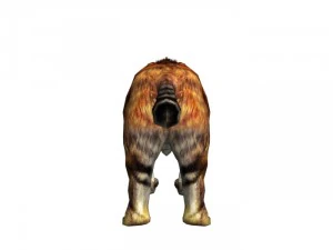 sabrecat rigged 3D Model