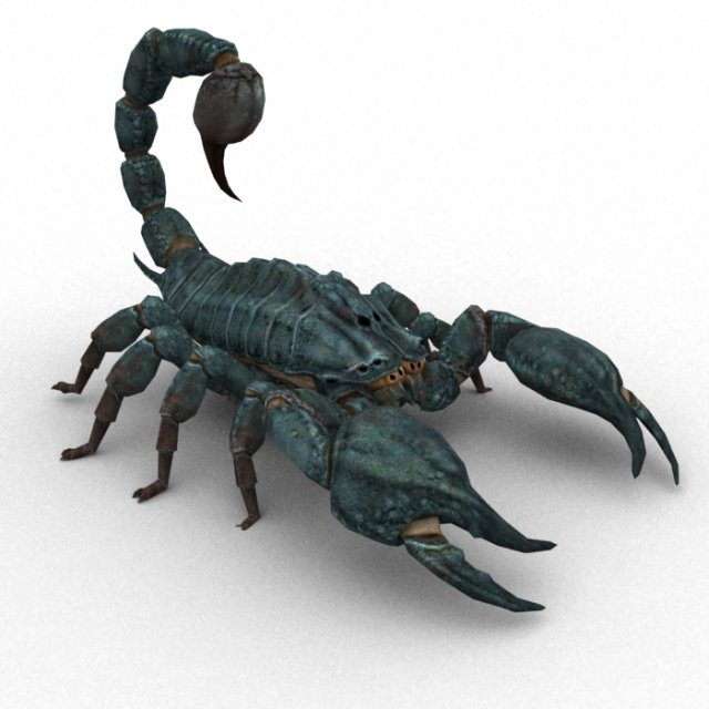scorpion rigged Modelo 3D .c4d .max .obj .3ds .fbx .stl .blend 