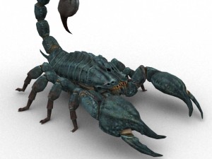 scorpion rigged 3D Model