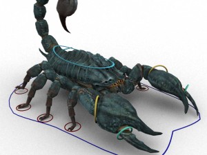 scorpion rigged Modelo 3D