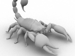 scorpion rigged Modelo 3D