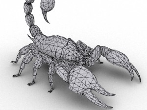 scorpion rigged Modelo 3D