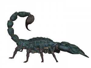 scorpion rigged Modelo 3D