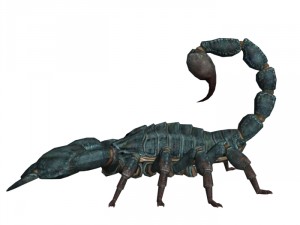 scorpion rigged Modelo 3D