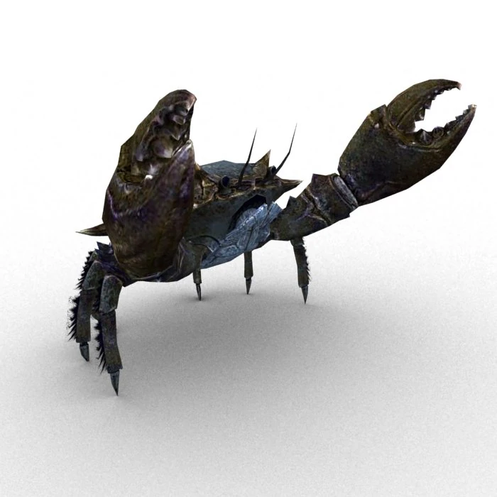 crab rigged 3D Model .c4d .max .obj .3ds .fbx .stl .blend 