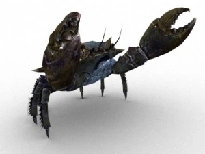 kepiting dicurangi Model 3D
