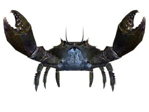 crab rigged 3D Model