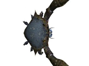 crab rigged 3D Model