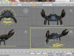 crab rigged 3D Model