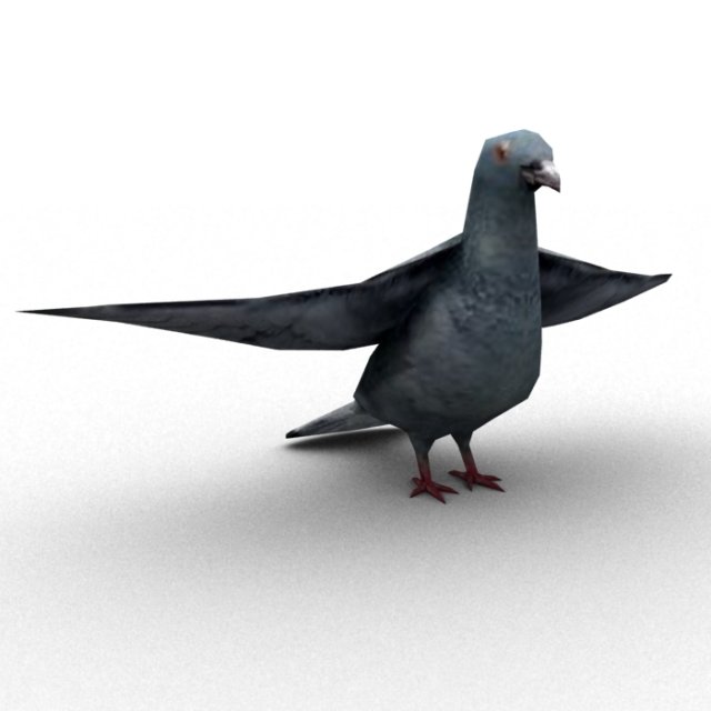 pigeon rigged 3D Model .c4d .max .obj .3ds .fbx .stl .blend 